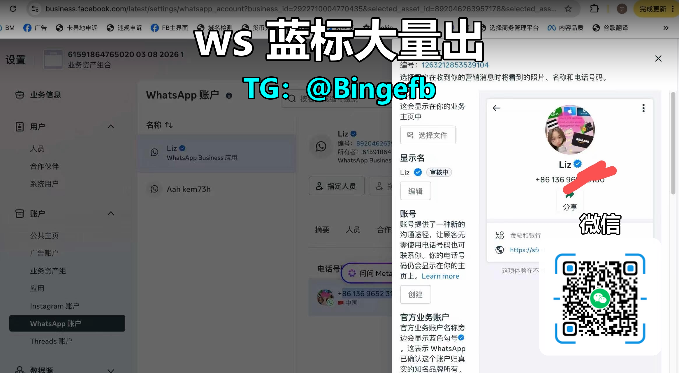 WhatsApp蓝标认证账号出售 - WS蓝标大量出